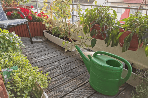 Balkon mit Kräutern in Kübeln