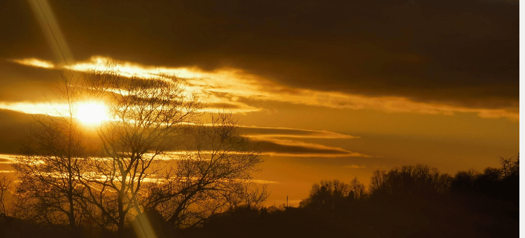 Manipulation, Ablenkung, Spaltung: Sonnenuntergang mit spaltendem Sonnenstrahl hinter Baum